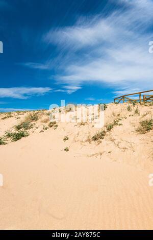 Dunes dans la réserve naturelle Zahara de los Atunes, Espagne Banque D'Images