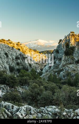 Vista sur le Parc National de la Sierra Nevada, Espagne Banque D'Images