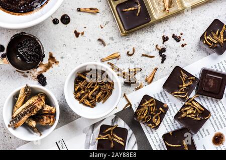 Insectes comestibles faits maison au chocolat Banque D'Images