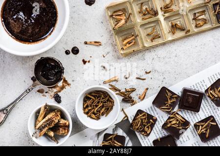 Fabrication de chocolat avec insectes comestibles Banque D'Images