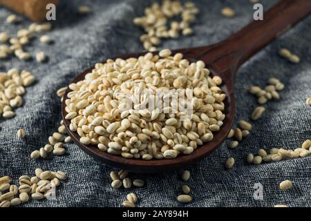 Vierge Bio Italien Pearl Barley Dans Un Bol Banque D'Images