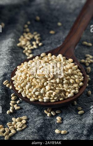 Vierge Bio Italien Pearl Barley Dans Un Bol Banque D'Images