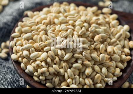 Vierge Bio Italien Pearl Barley Dans Un Bol Banque D'Images