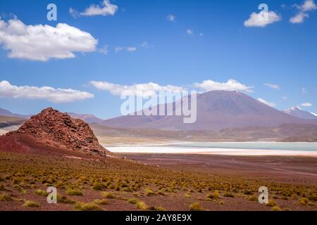 Laguna Honda au sud Lipez Altiplano reserva, Bolivie Banque D'Images