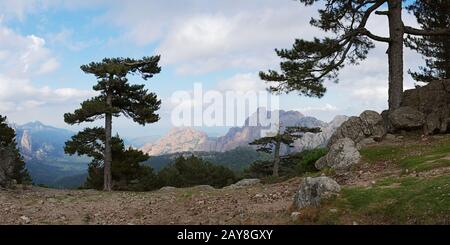 Vue du Col de Bavella - Corse Banque D'Images