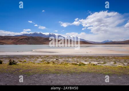 Laguna Honda au sud Lipez Altiplano reserva, Bolivie Banque D'Images