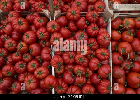 Boeuf tomates coeur dans des boîtes à un marché Banque D'Images