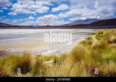 Laguna Honda au sud Lipez Altiplano reserva, Bolivie Banque D'Images