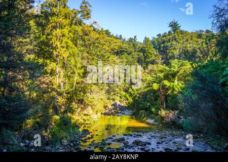 Piscines de Cleopatra dans le parc national d'Abel Tasman, Nouvelle-Zélande Banque D'Images