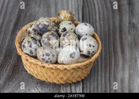 Œufs Quail dans un panier en osier Banque D'Images