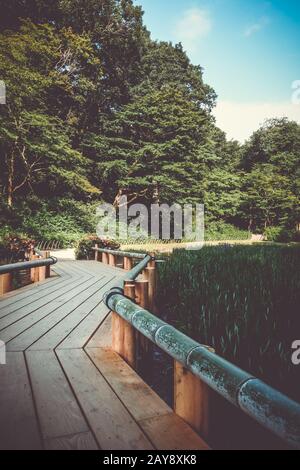 Jardin intérieur Meiji Jingu, Parc Yoyogi, Tokyo, Japon Banque D'Images