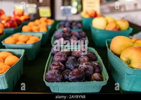 Gros plan rangées soigneusement arrangées de boîtes en carton remplies de prunes noires et d'autres fruits. Mise au point sélective en avant et arrière-plan flou. Banque D'Images