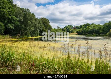 Végétation et étang près de la cabane des Admissions dans le parc Lyme, Disley dans Cheshire, Royaume-Uni Banque D'Images