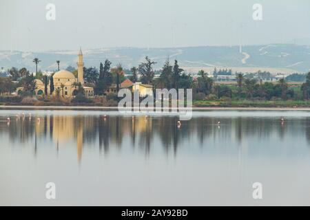 Hala Sultan Tekke on Larnaca Salt Lake- flamingos en premier plan Banque D'Images