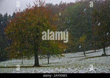 Le début de l'hiver en octobre, alpes soubaises, Allemagne Banque D'Images