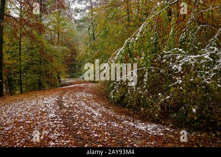 Le début de l'hiver en octobre, alpes soubaises, Allemagne Banque D'Images