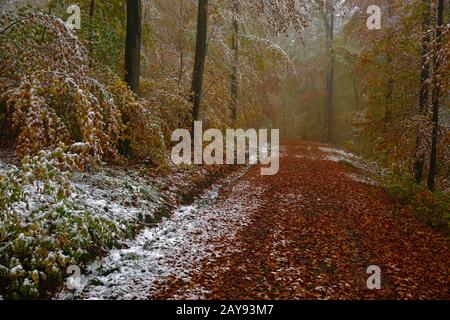 Le début de l'hiver en octobre, alpes soubaises, Allemagne Banque D'Images