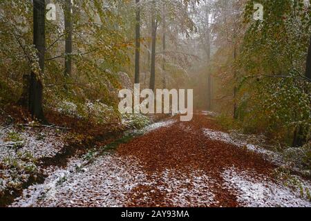 Le début de l'hiver en octobre, alpes soubaises, Allemagne Banque D'Images