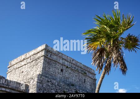 Les ruines mayas de Tulum Mexique Banque D'Images