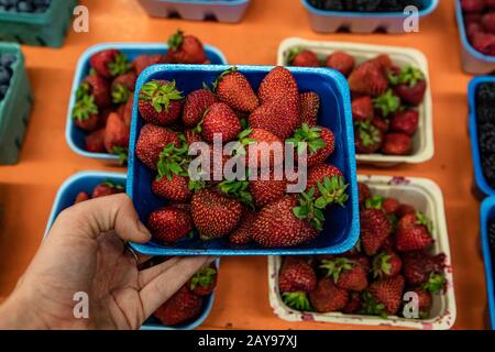 Main de l'homme tenant un conteneur carré en carton rempli de belles fraises rouges. Fruits frais mûrs et délicieux. Arrière-plan flou. Banque D'Images