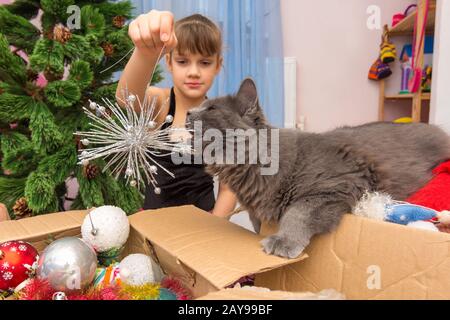 Un chat domestique grignote une décoration d'arbre de Noël dans les mains d'une fille Banque D'Images