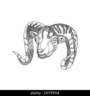 Tête de mouflon argali Doodle Art Banque D'Images