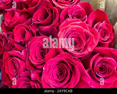 Plusieurs bouquets de différentes fleurs à une épicerie dans l'eau attendant qu'un client les achète. Concept amour, romance, anniversaire, valentin Banque D'Images