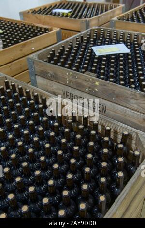 Bouteilles de vin après embouteillage stockées dans des caisses la cave à vin à plusieurs niveaux de la région viticole historique de Vergelegen, dans le Somerset West, dans le Cap occidental Banque D'Images