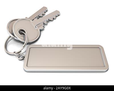 Deux porte clefs et étiquette vierge rectangulaire sur l'anneau. 3D Banque D'Images