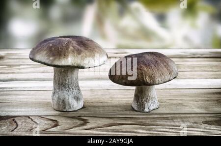 Deux cèpes à la surface de la table. Banque D'Images