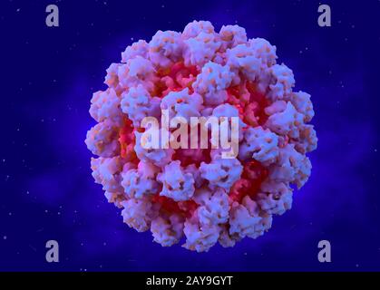 Norovirus, illustration Banque D'Images