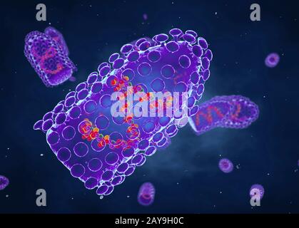 Virus de la rage, illustration Banque D'Images