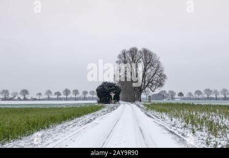 Wayside sanctuaire au monument naturel Dicke Linde Banque D'Images