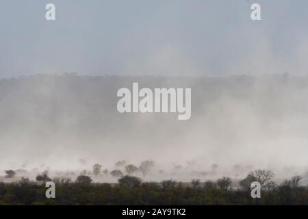 Une tempête de sable dans la Réserve de gibier d'Ongava, au sud du parc national d'Etosha, dans le nord-ouest de la Namibie. Banque D'Images