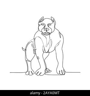 American Bully Continuous Line Banque D'Images