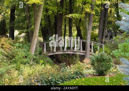 Passerelle en bois gris au-dessus de la petite crique dans le jardin de l'arrière-cour en automne. Banque D'Images