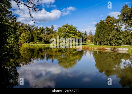 Lac et arbres dans le parc du château de Lednice Banque D'Images