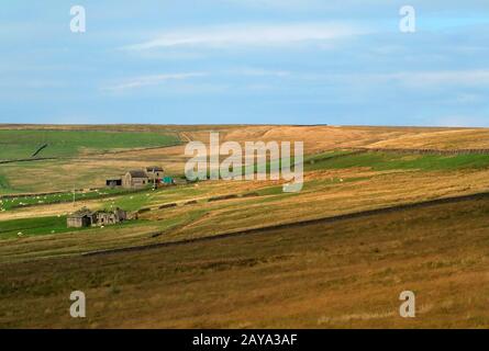 paysage pennine panoramique ensoleillé avec murs en pierre typiques du yorkshire dales et fermes et moutons Banque D'Images