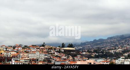 vue panoramique sur la ville de funchal à madère avec maisons et collines couvertes d'arbres Banque D'Images