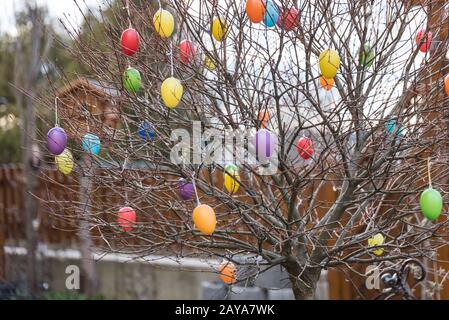 Des œufs de Pâques en plastique colorés sont accrochés dans le jardin sur un arbre Banque D'Images