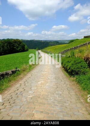 une ruelle pavée de campagne se courrant dans la vallée boisée lointaine entourée de murs en pierre sèche et de champs verts avec une bri Banque D'Images