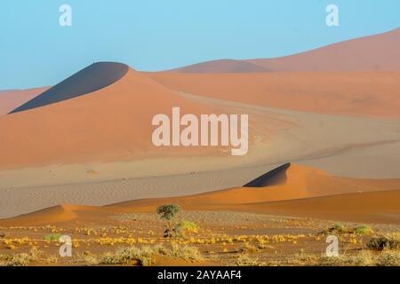 Vue sur la dune de Big Daddy de 325 mètres de haut, qui est la plus grande dune de la région de Sossusvlei, le parc national du Namib-Naukluft en Namibie. Banque D'Images