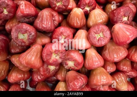 fruits de pomme de cire frais Banque D'Images
