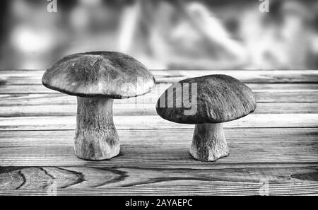 Deux cèpes à la surface de la table. Banque D'Images