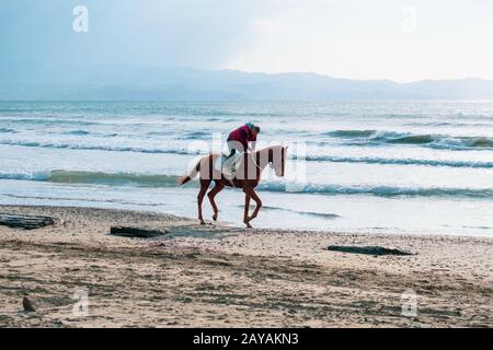 Homme à cheval galopant brun sur la plage d'Ayia ERINI à Chypre contre une mer agitée Banque D'Images