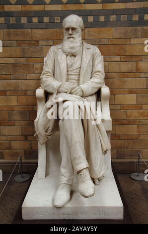 Charles Darwin Sculpture - Musée d'Histoire naturelle - Londres Banque D'Images