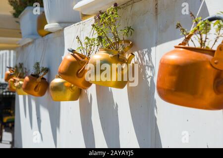 Bouilloires en cuivre avec des plantes accroché sur mur blanc Banque D'Images