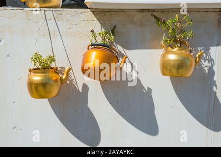 Bouilloires en cuivre avec des plantes accroché sur mur blanc Banque D'Images