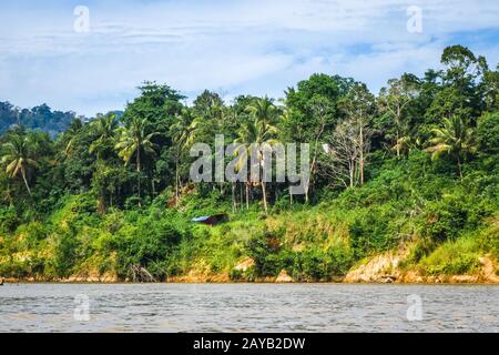 Rivière et jungle dans le parc national de Taman Negara, Malaisie Banque D'Images