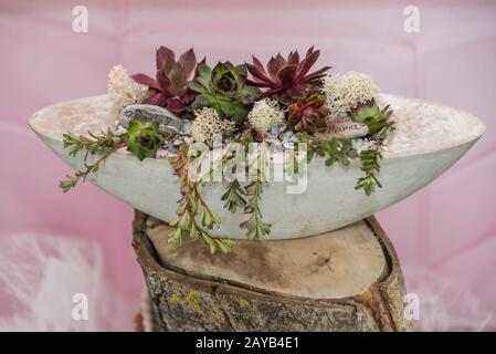 Cadeau fait maison avec des succulents dans un bol en béton - décoration de la plante de cactus Banque D'Images